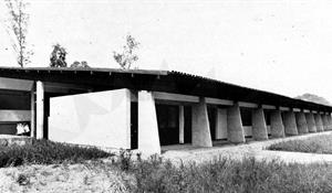 Escola Estadual Professora Alzira Martins Lichti