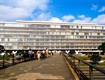 Década de 1980